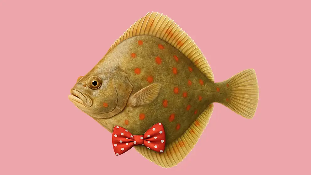 Rødspætte - Danmarks nationalfisk
